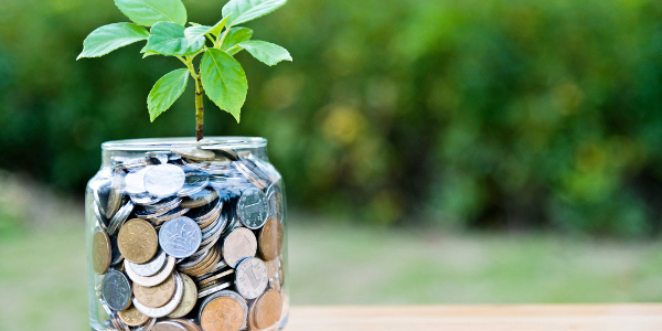 Plant growing from coin jar