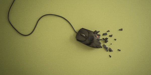 souris 022020