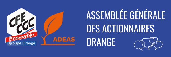 ag des actionnaires