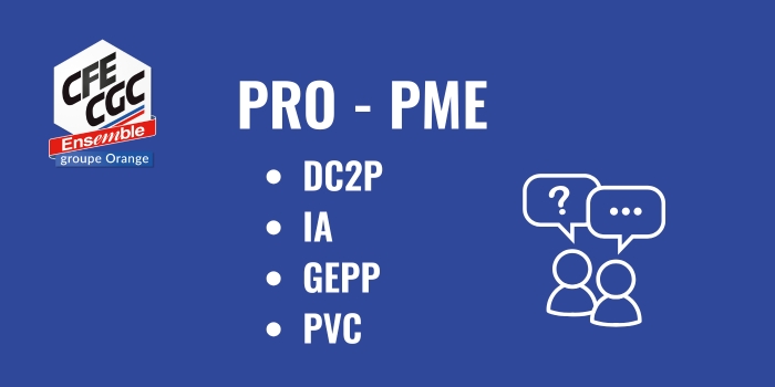 pro pme enjeux dc2p ia gepp pvc cfe cgc orange juin 2025