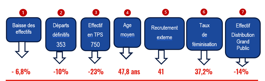capture bilan emploi 2024 copy