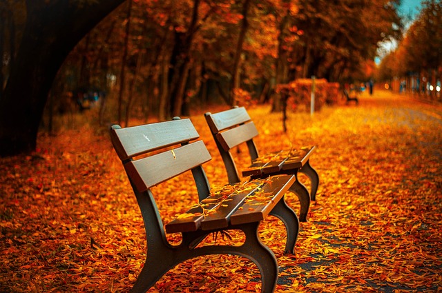 benches 560435 640