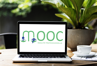 mooc egalitepro 263x382