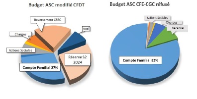 budgetcfdt copy