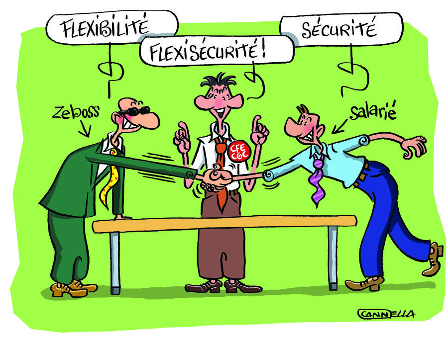 flexisecurite